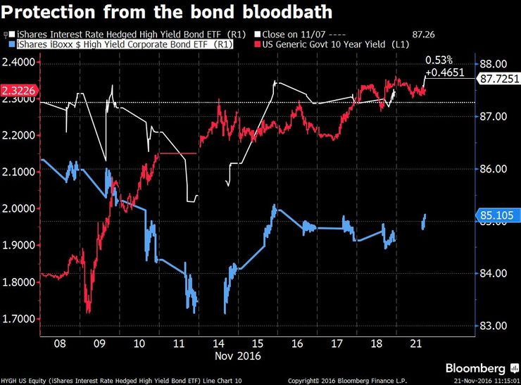 protection from the bond bloodbath