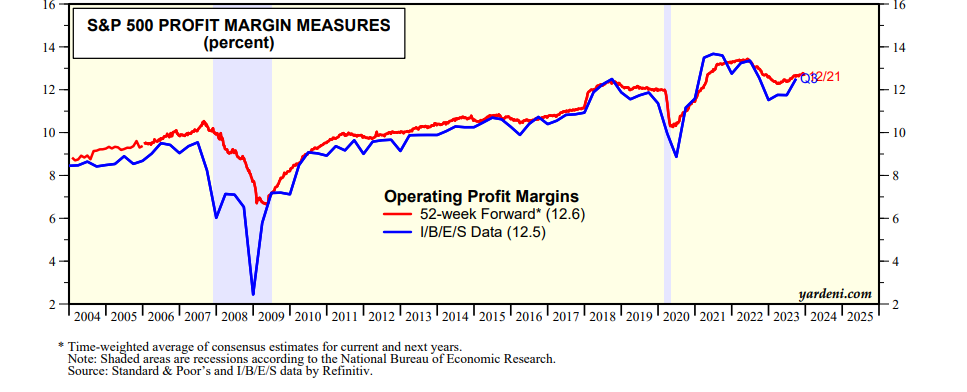 Insightful visual on profit margin trends within the S&P 500, highlighting top profitable companies. 