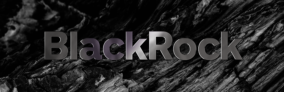 BlackRock Inc logo set against a backdrop of black rocks, symbolizing strength and stability in asset management.