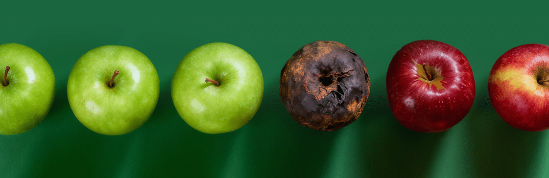 Rows of green and red apples with one rotten apple symbolizing how not all ETFs, like the Solactive ETF, are created equal